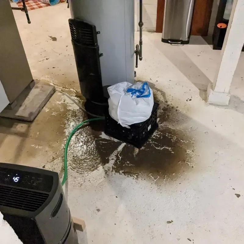 Sewage Backup Cleanup Service in Blanding, UT